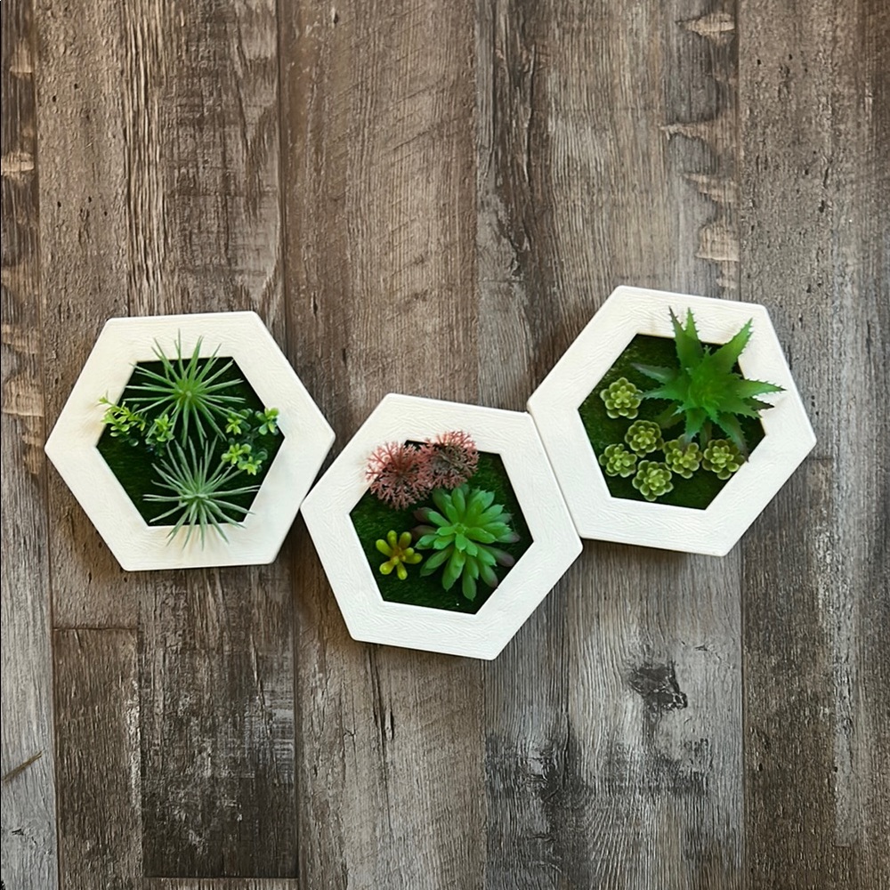 Hexagonal White Succulent Wall Decor Set